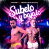 Subelo y Bajalo - Single, 2019