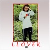 Llovek
