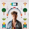 Stef Kamil Carlens - Painted Glass