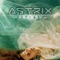 Artcore - Astrix lyrics