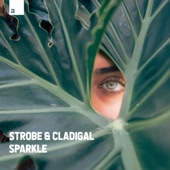 Sparkle (Extended Mix) artwork