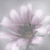 Storybook - Single