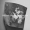 Borne II - Silicone Boone lyrics