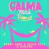 Calma (Alicia Remix) song lyrics
