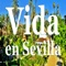 Vida en Sevilla: Música Electronica Para Hacer Ejercicio artwork