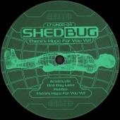 Shedbug - Aciidmuzik