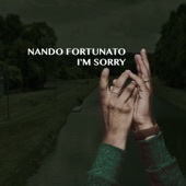 I'm Sorry (Extended Mix) artwork