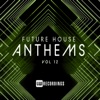 Future House Anthems, Vol. 12, 2020