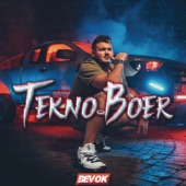 Tekno-Boer artwork