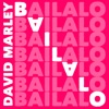 David Marley & Javi Ramirez - Bailalo