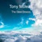 The Steel Breeze - Tony Mclean lyrics