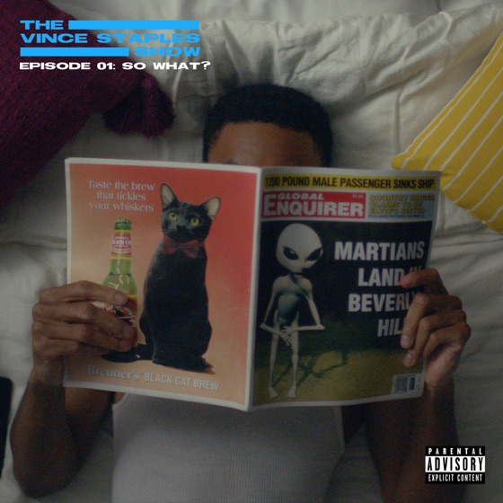 Cover artwork for So What?