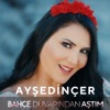 Bahçe Duvarından Aştım - Single