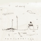 Mt. Marcy - A Snag