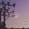 Todos Los Días Son Domingo - Single