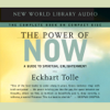 Eckhart Tolle - The Power of Now: A Guide to Spiritual Enlightenment artwork