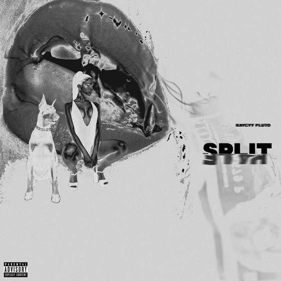 Cover artwork for SPLIT HALF