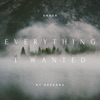 Everything I Wanted - Single