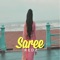 Saree artwork