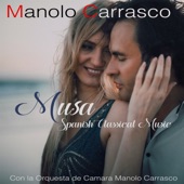 Amazona (feat. Manolo Carrasco) artwork