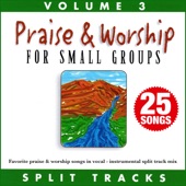 Praise & Worship For Small Groups (Whole Hearted Worship) [Volume 3] [Split Tracks] [feat. Lynn DeShazo] artwork