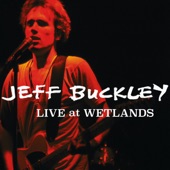 Live at Wetlands, New York, NY 8/16/94 artwork