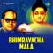 Amritavani Hi Buddhachi - Pushpa Pagdhare lyrics