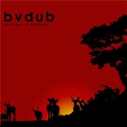 Bvdub - Nothing to Fear