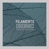 Filaments artwork