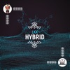 Hybrid - Single