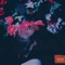 Oleander (feat. Skinnyy Hendrixx) - Reppa Ton lyrics