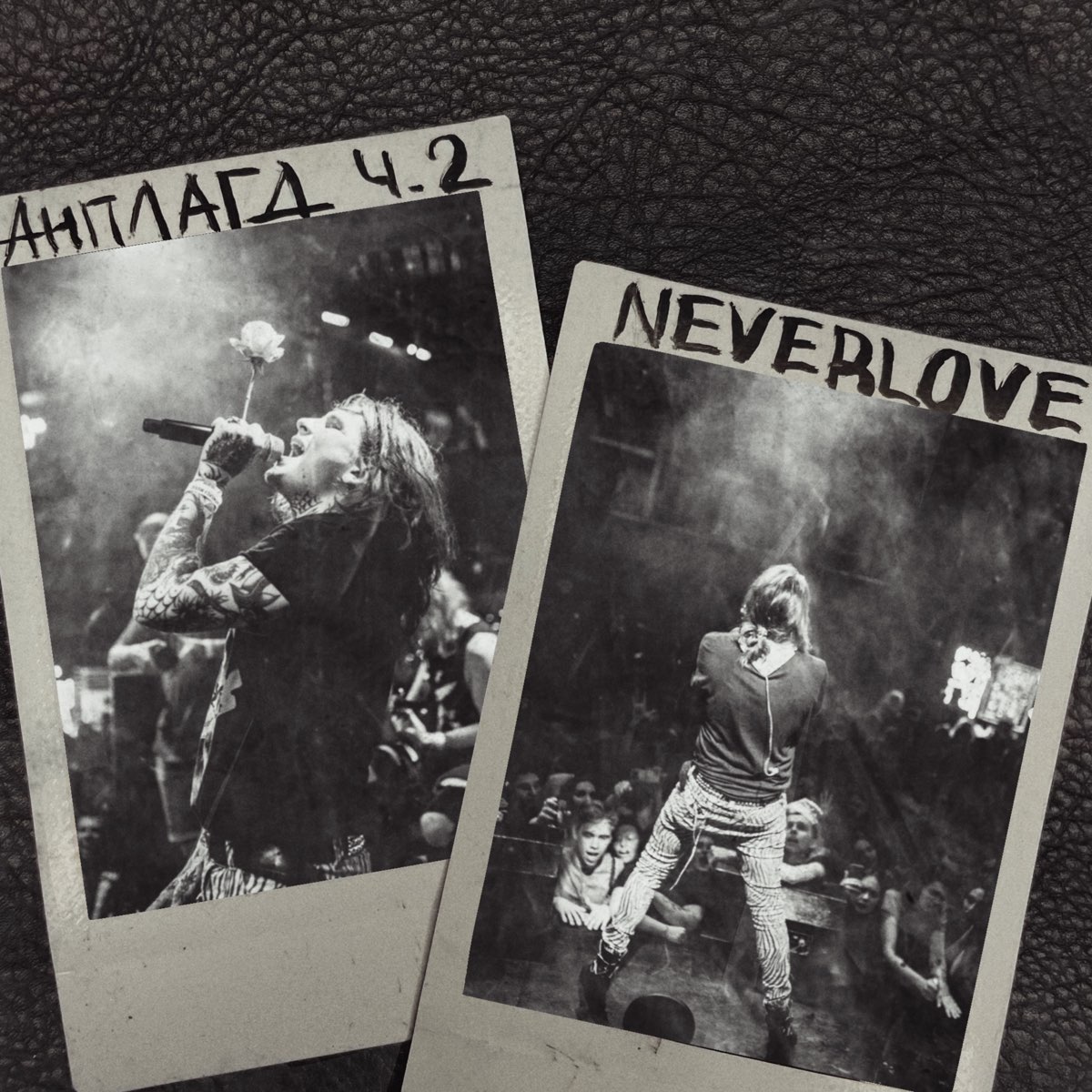 Люби меня вечность Neverlove. Неверлов группа. Neverlove разобранная.