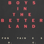 FONTAINES D.C. - Boys in the Better Land (Radio Edit)