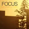 Stream & download Focus (feat. Benjamín Ialgo & Cefímero) - Single