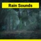 Rain in the Forest artwork