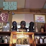 Silver Jews - Sometimes a Pony Gets Depressed