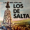 Lo Mejor de Los De Salta, 1980