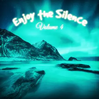 Enjoy the Silence, Vol. 4 by Various Artists album reviews, ratings, credits