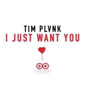 I Just Want You (Extended Mix) artwork