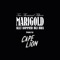 Allt Kommer Bli Bra (Cape Lion Remix) - Marigold lyrics