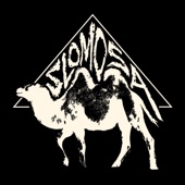 Slomosa - Horses