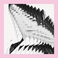 3.2.1-bird