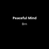 Peaceful Mind - Single artwork