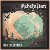 Dub Collection artwork