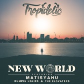 New World (feat. Matisyahu, Bumpin Uglies & the Elovaters) artwork