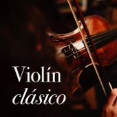 Violín clásico artwork