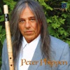 Peter Phippen