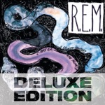 R.E.M. - Letter Never Sent