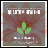 Quantum Healing artwork