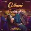 Odhani (From "Made in China") song lyrics